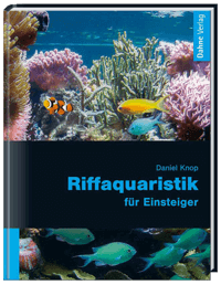Riff-aquaristik für Einsteiger