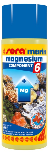 COMPONENT 6 magnesium